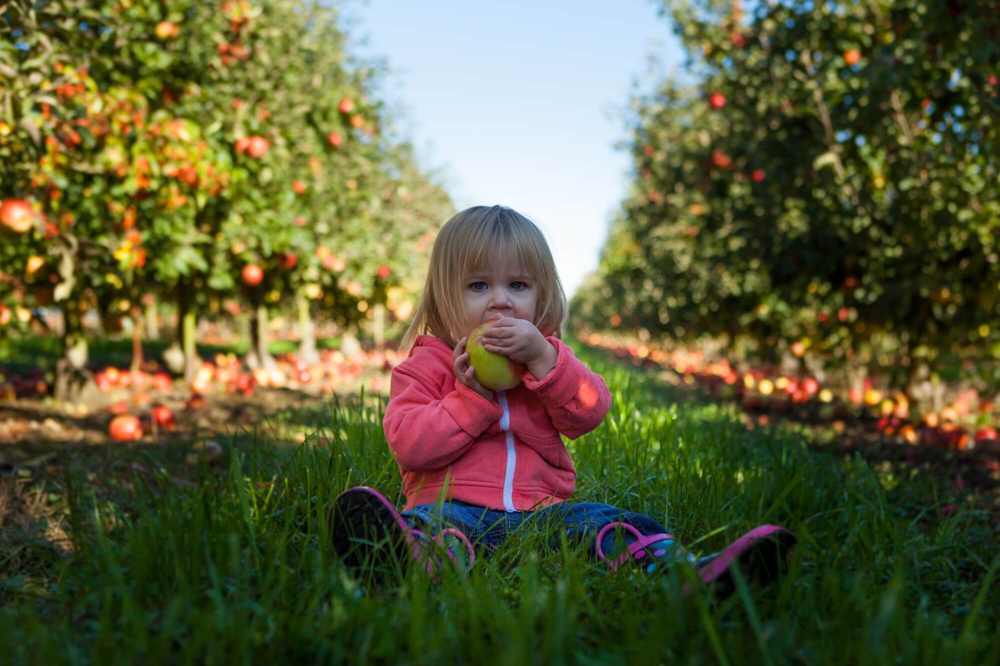 7 tipp, amivel ráveheted a gyereket, hogy megegye a zöldséget