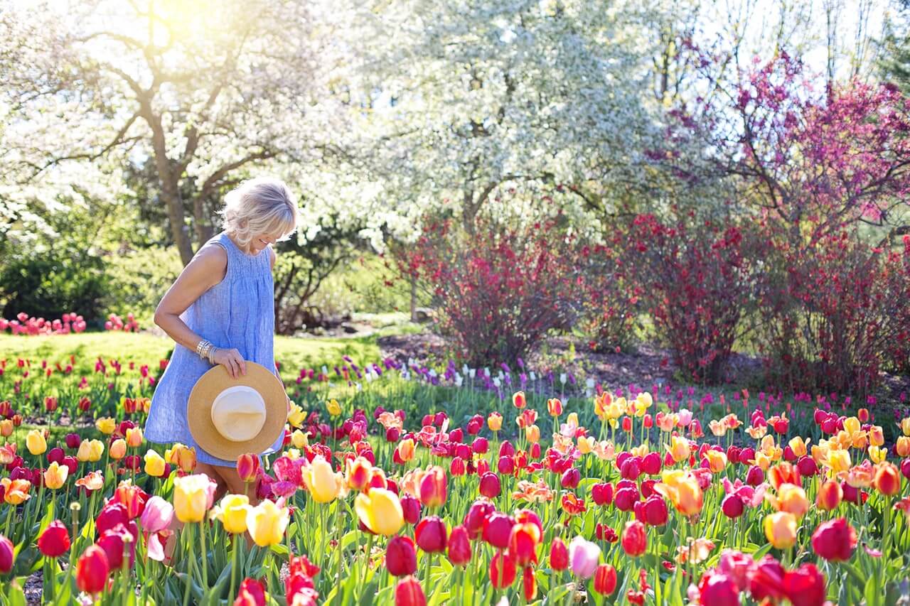 záhony plné narcisov a tulipánov