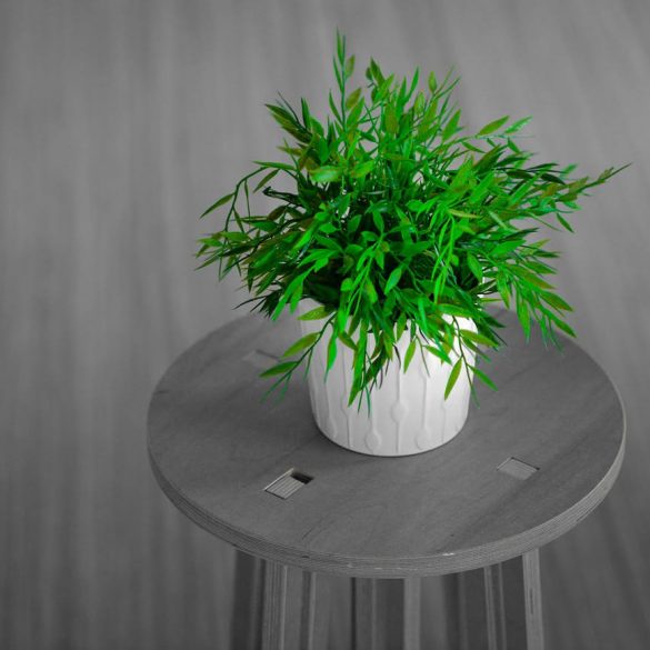 Curățați aerul cu plante de cameră