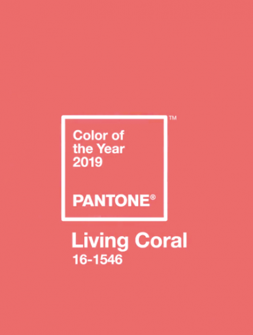 A 2019-es év színe a korall
