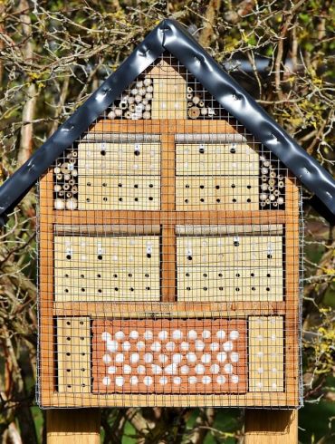 Faceți o casă de insecte