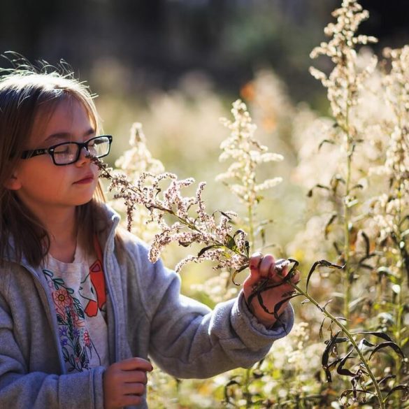 Ako prebudiť v dieťati lásku k prírode?