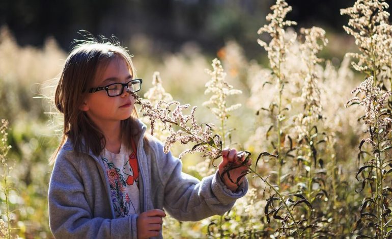 Ako prebudiť v dieťati lásku k prírode?
