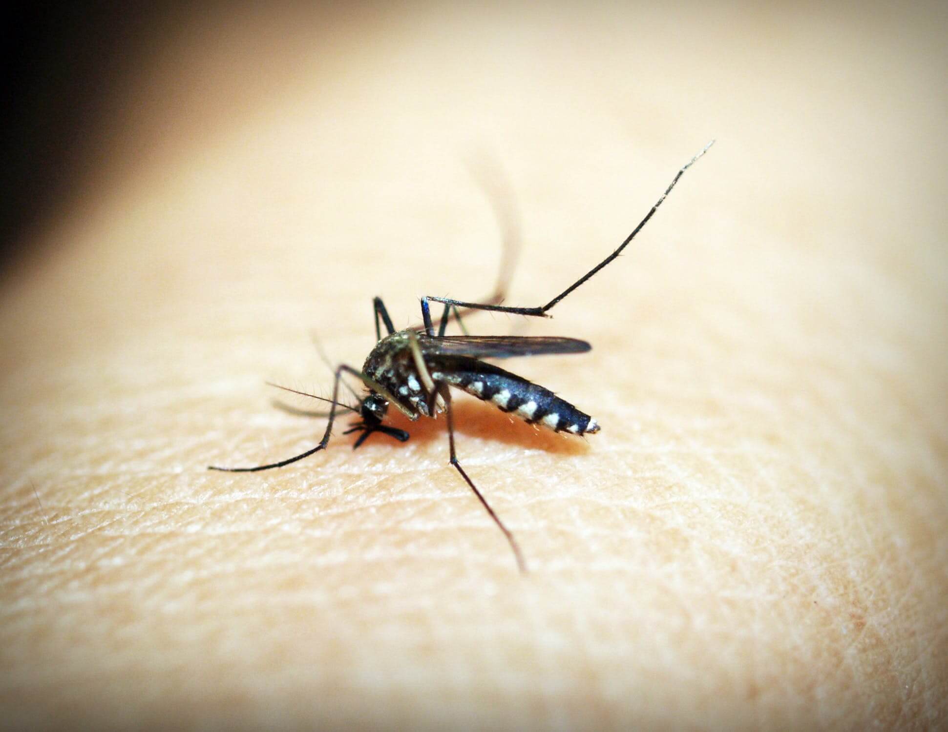 Pri bodnutí komárom