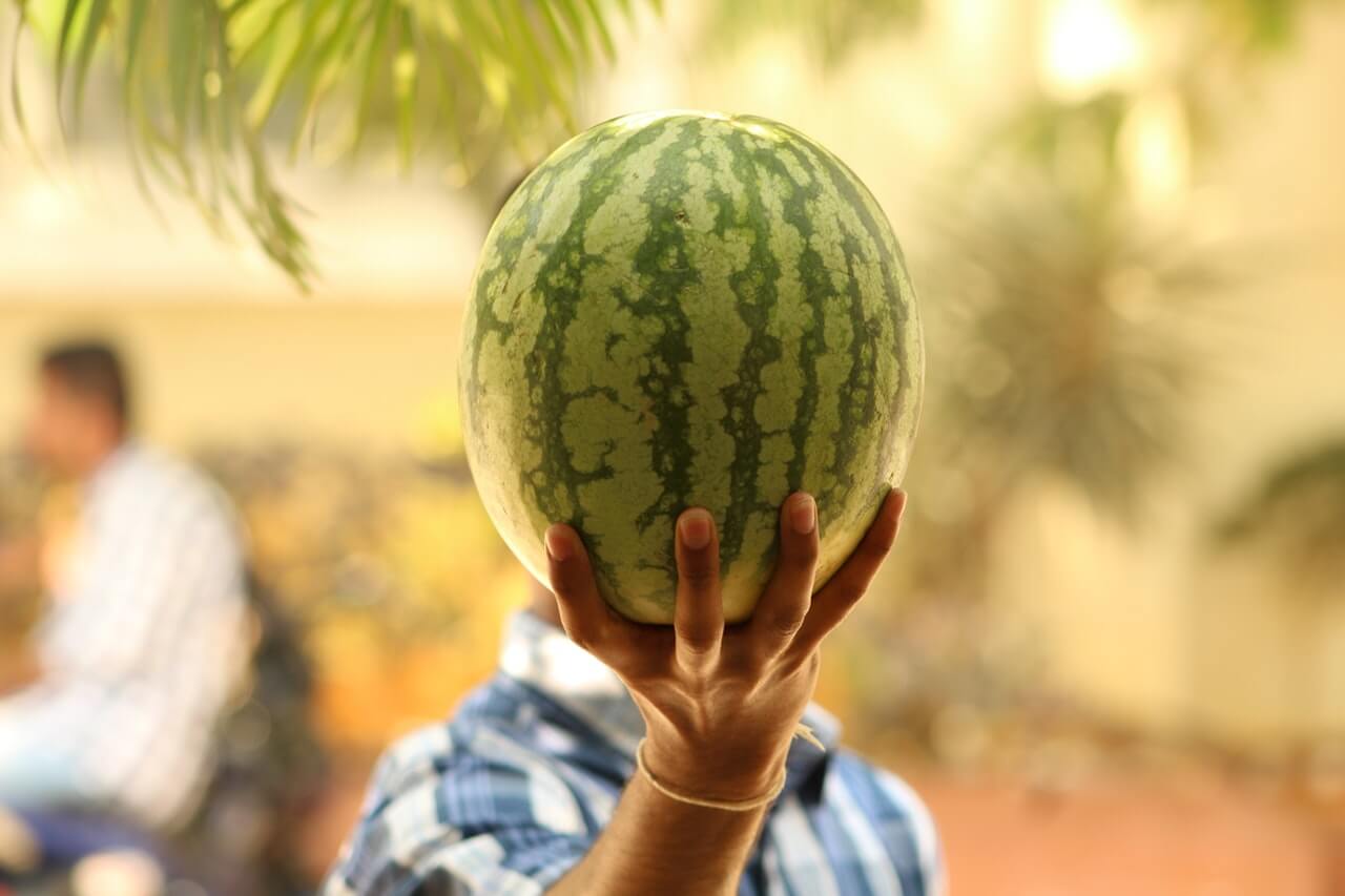 Najťažší melón na svete