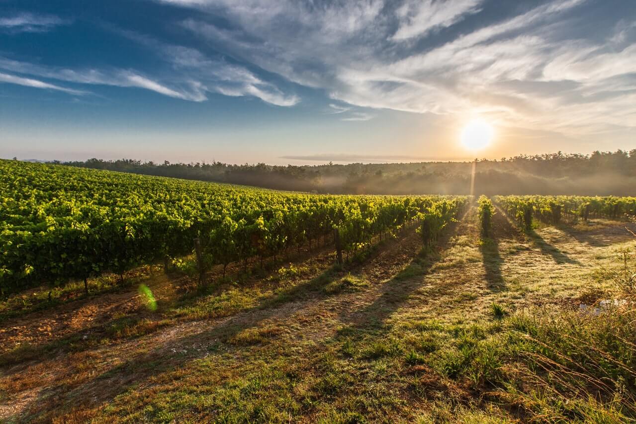 În spatele peisajului frumos din Toscana