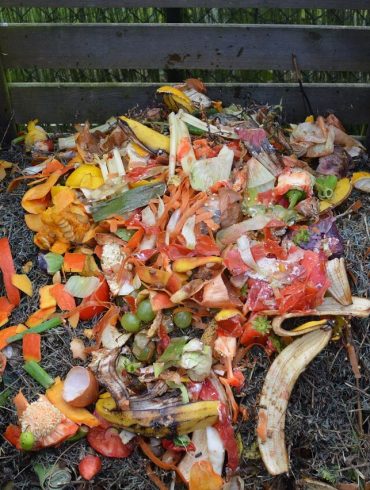 Mi való a komposztálóba és mi nem