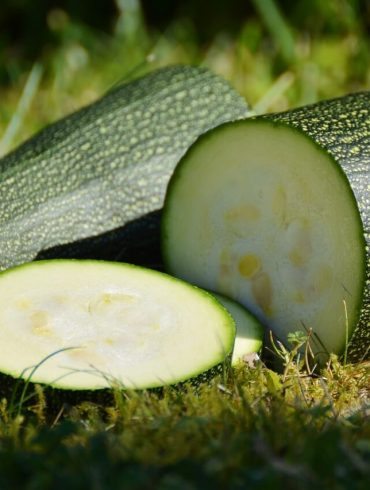Plăcintă rapidă baba cu zucchini