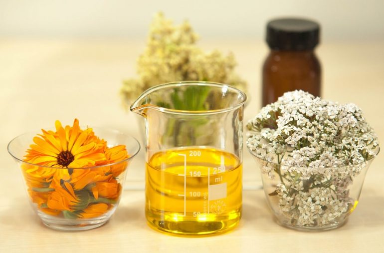 Vyrobte si liečivý olej z nechtíka