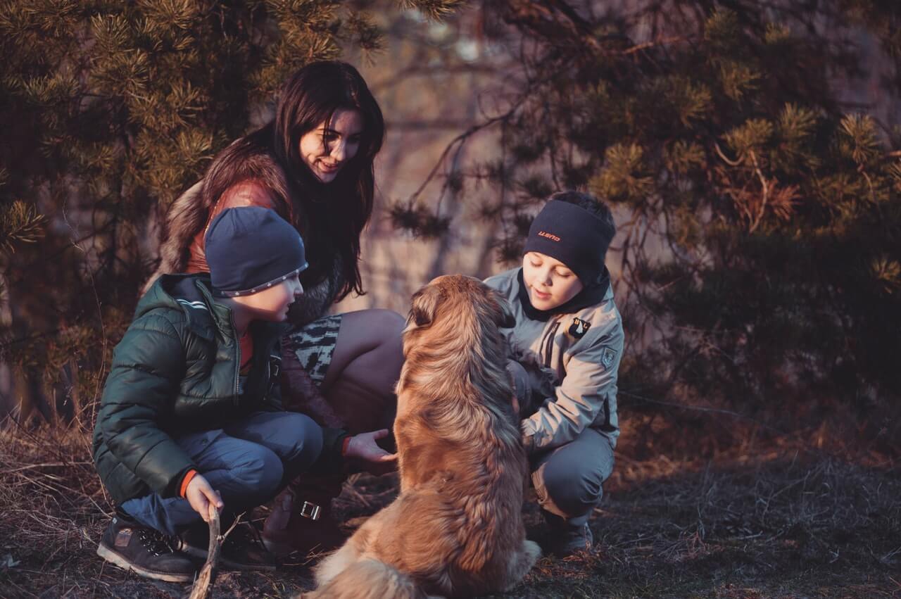 Îmbunătățiți relația și cu o carte de amintiri