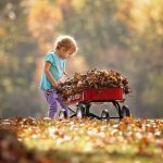 Hogyan játszunk a gyerekekkel ősszel egy parkban