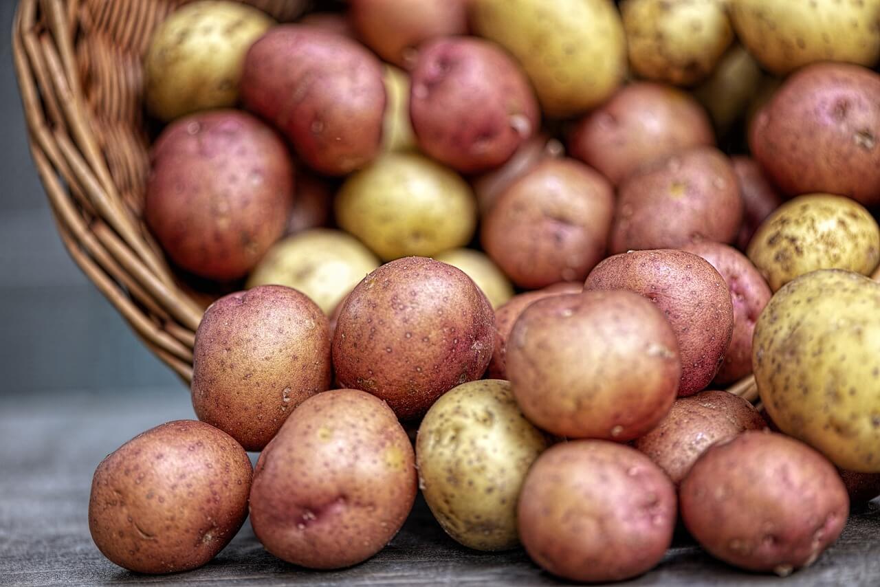 Nu toți cartofii sunt potriviți pentru o depozitare pe termen lung