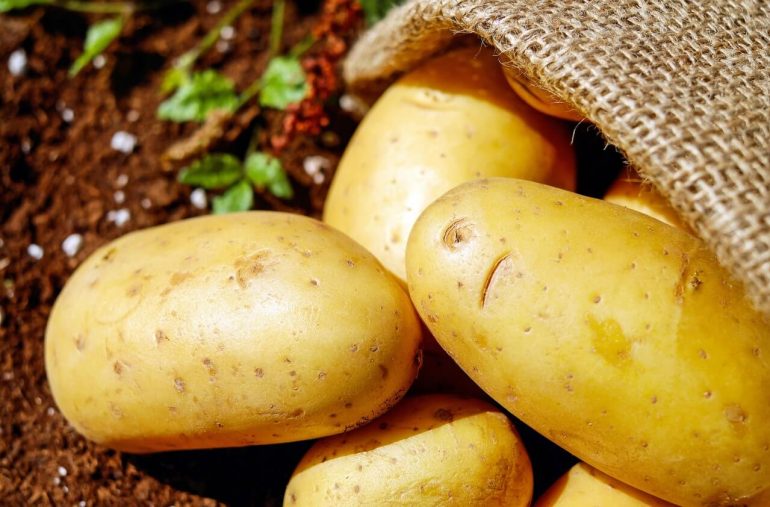 Ako správne skladovať zemiaky počas zimy
