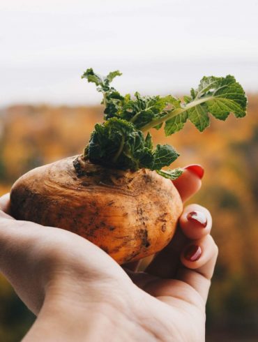 Ako skladovať zeleninu v zime