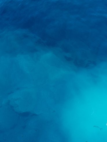 Farba roka 2020 je modrá