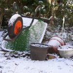 V záhrade môžete pracovať aj počas zimy