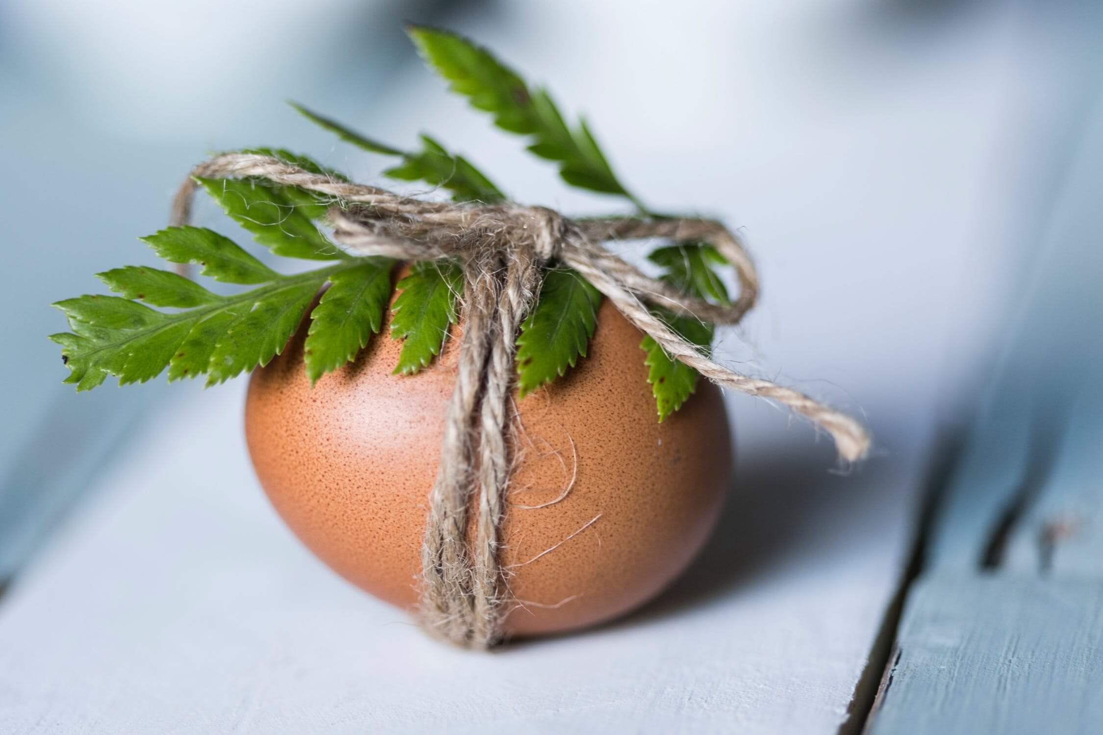 Vajíčko tiež môžete vyzdobiť iba kúskom špagátiku a paprade alebo rebríčka