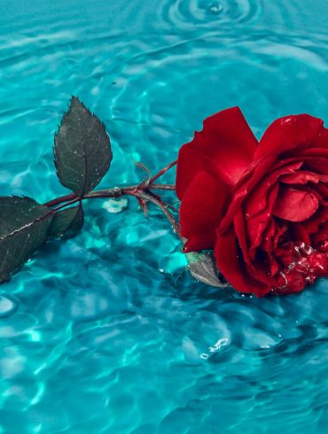 3 recepty na domáce pleťové vody