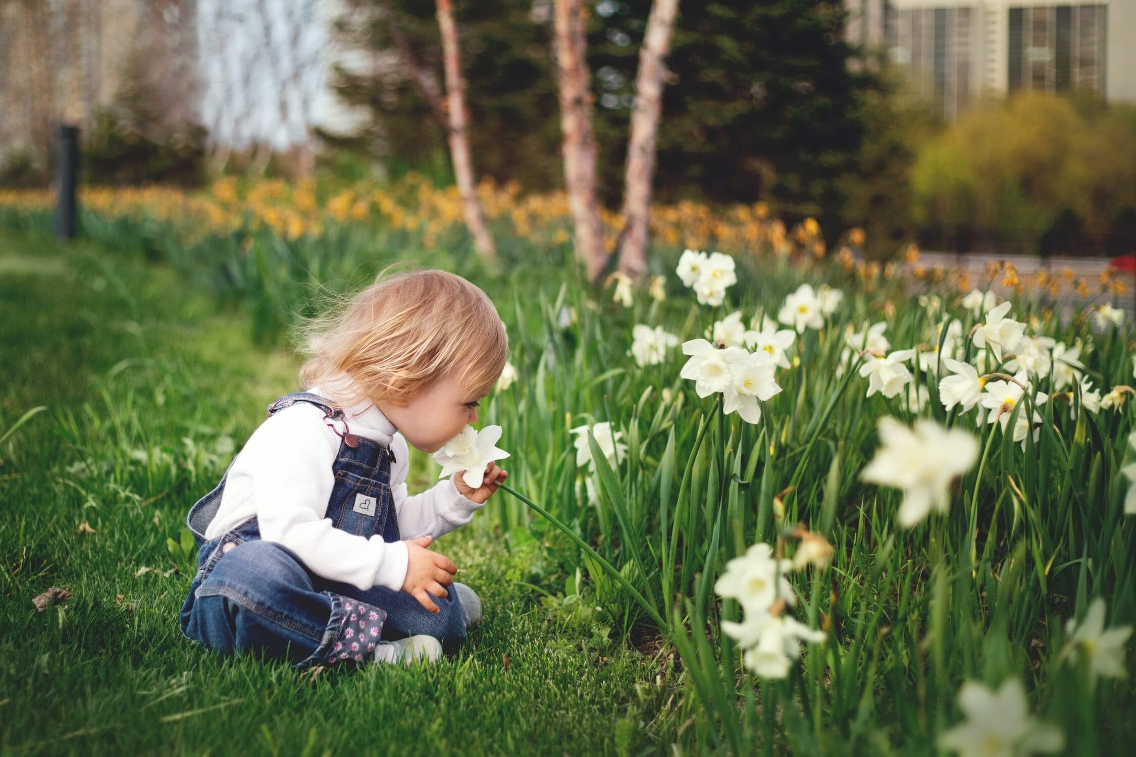Pe copiii de la vârsta de trei ani îi puteți distra adunând pietre și făcând buchețel din flori