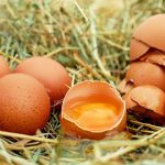 Škrupiny z vajíčok nevyhadzujte