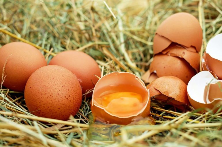 Škrupiny z vajíčok nevyhadzujte