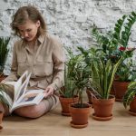 Mit tegyünk, hogy a szobanövények túléljék a nyári kirándulásunkat