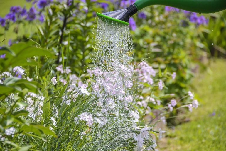 Ako šetriť vodu pri zalievaní záhrady
