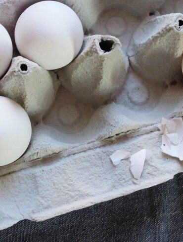 Prečo dať prednosť domácim či bio vajciam
