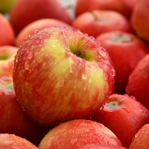 Mihez kezdjünk ősszel a sok almával?