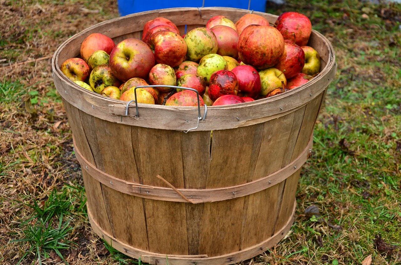 Ako získať kvalitný jablkový mušt