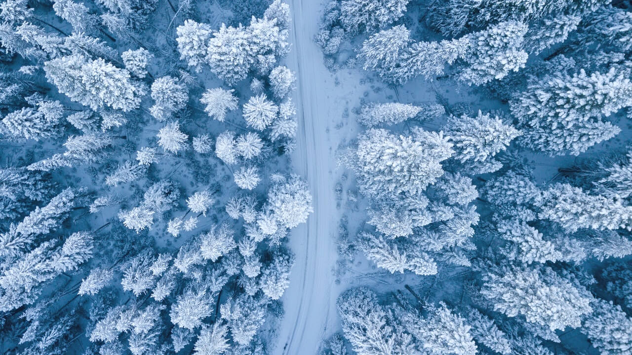 Najväčšie ticho zažijete v lese počas zimy