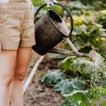 Ako správne zalievať záhradu