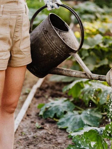 Ako správne zalievať záhradu